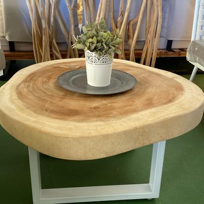 Suar Woodslab Coffee Table