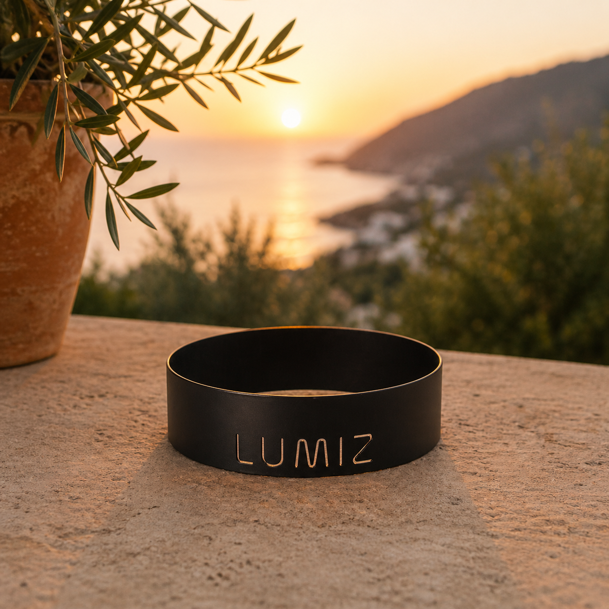Lumiz Metal Plate.